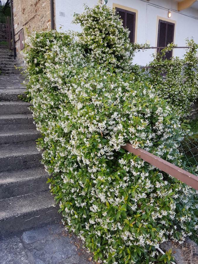 La Palma Villa Miazzina Buitenkant foto